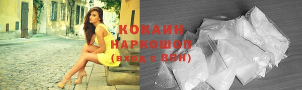 индика Богданович