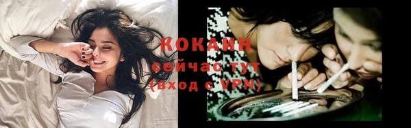 соль ск Бронницы