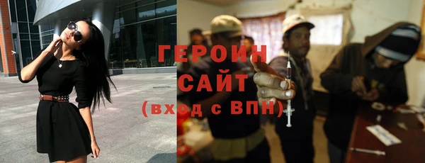 индика Богданович