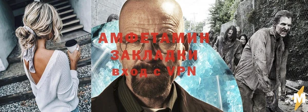 индика Богданович