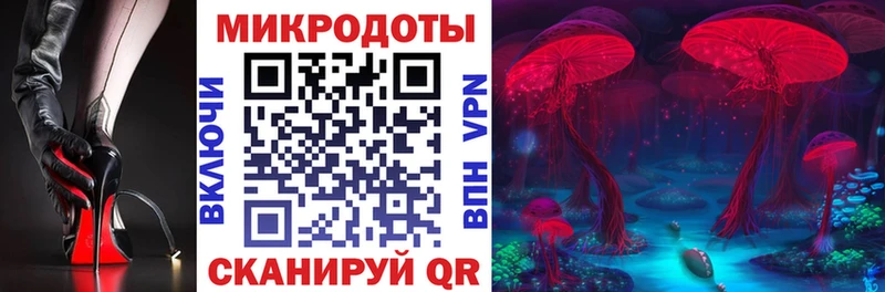 где купить наркоту  Кимры  Псилоцибиновые грибы Psilocybine cubensis 